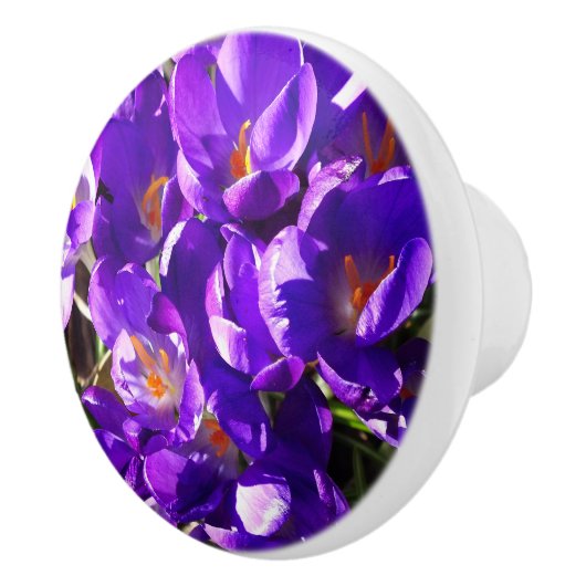 LENTE CROCUS KERAMISCHE KNOP (Rechts)