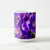 LENTE CROCUS KOFFIEMOK (Center)