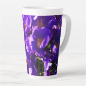 LENTE CROCUS LATTE MOK (Rechterhoek)