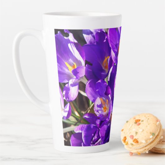 LENTE CROCUS LATTE MOK (In situ)