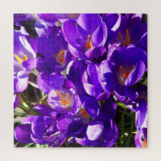 LENTE CROCUS LEGPUZZEL (Verticaal)