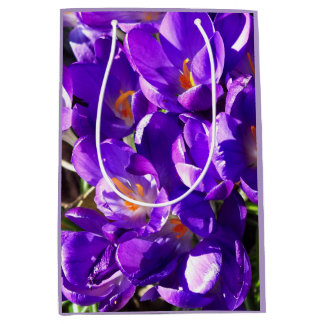 LENTE CROCUS MEDIUM CADEAUZAKJE