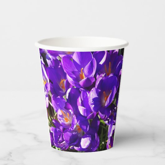 LENTE CROCUS PAPIEREN BEKERS (Voorkant)