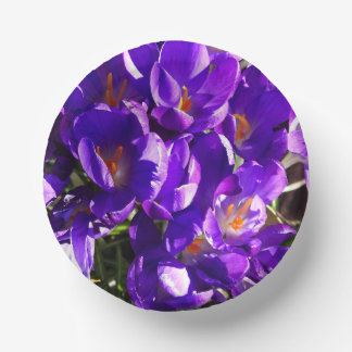 LENTE CROCUS PAPIEREN KOMMEN