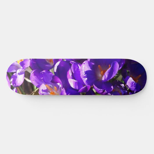 LENTE CROCUS PERSOONLIJK SKATEBOARD (Horizontaal)