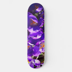 LENTE CROCUS PERSOONLIJK SKATEBOARD