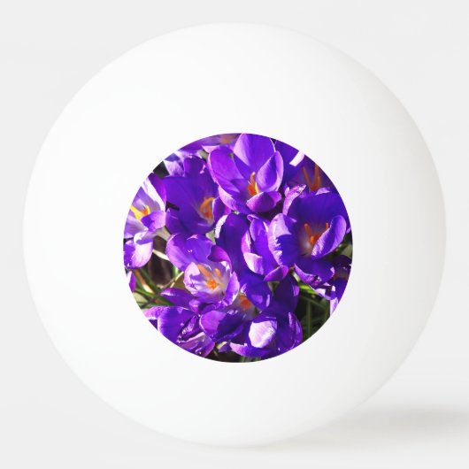 LENTE CROCUS PINGPONGBAL (Achterkant)