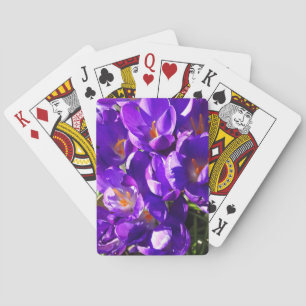 LENTE CROCUS POKERKAARTEN