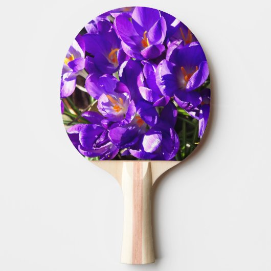 LENTE CROCUS TAFELTENNISBATJE (Voorkant)