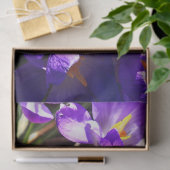 LENTE CROCUS TISSUEPAPIER (Geschenk)