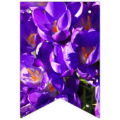 LENTE CROCUS VLAGGETJES (Derde vlag)