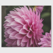 lente dahlia bloem cadeaupapier (Vlak)