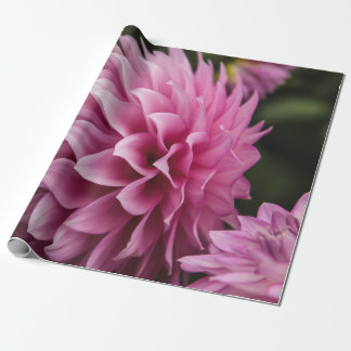 lente dahlia bloem cadeaupapier