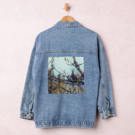 lente denim jacket (Hangar)