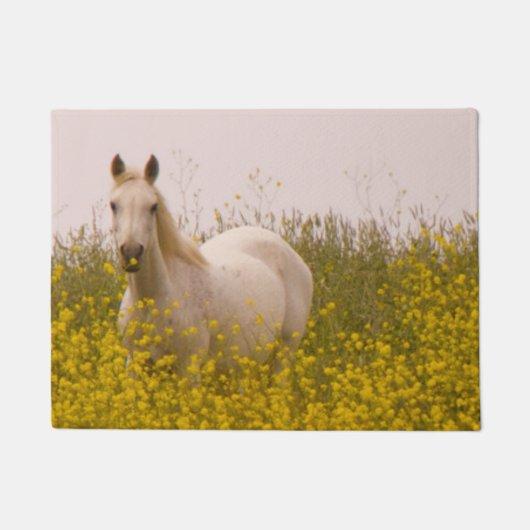 lente deurmat (Voorkant)