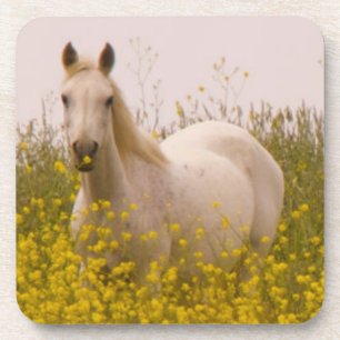 lente drankjes onderzetter