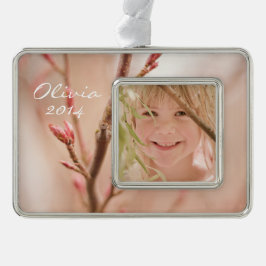 Lente dromen verzilverd omlijst ornament