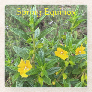 lente-Equinox Glazen Onderzetter