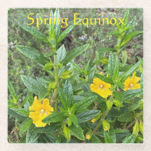 lente-Equinox Glazen Onderzetter (Voorkant)