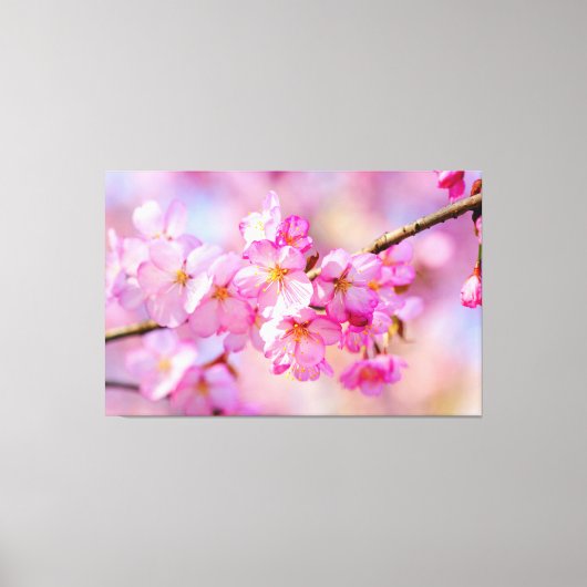 Lente Festival Van Verse Roze Kersenbloesems Canvas Afdruk (Voorkant)