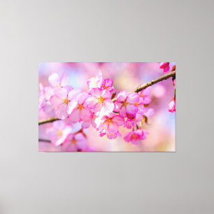 Lente Festival Van Verse Roze Sakura Bloesems Canvas Afdruk