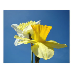 Lente Fijne Fotografie kunstprints Narcissen Foto Afdruk