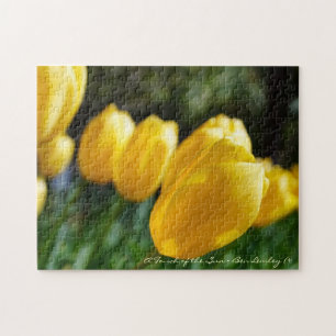 Lente Fling. Legpuzzel