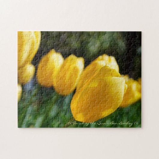 Lente Fling. Legpuzzel (Horizontaal)