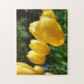 Lente Fling. Legpuzzel (Verticaal)