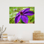 Lente Fling. Poster (Keuken)