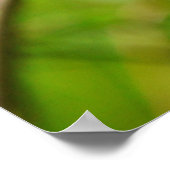 Lente Fling. Poster (Hoek)