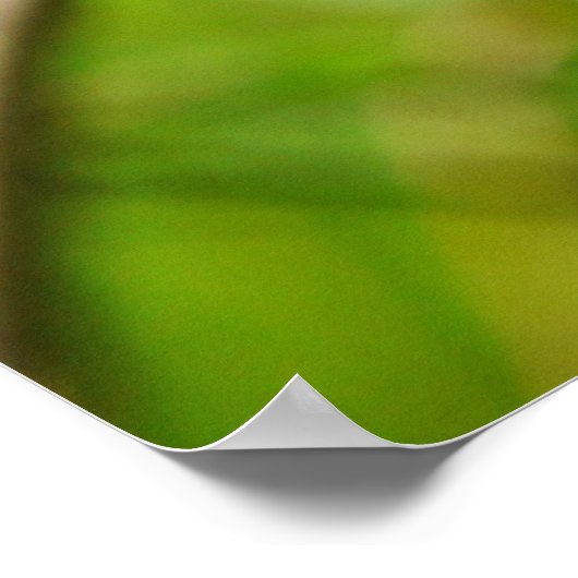 Lente Fling. Poster (Hoek)