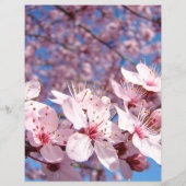 Lente Flyers papier Roze Boom Bloesems Blauwe Luch (Achterkant)