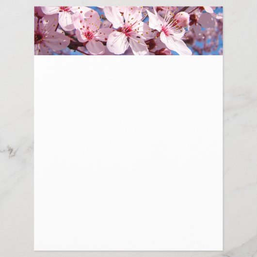 Lente Flyers papier Roze Boom Bloesems Blauwe Luch (Voorkant)