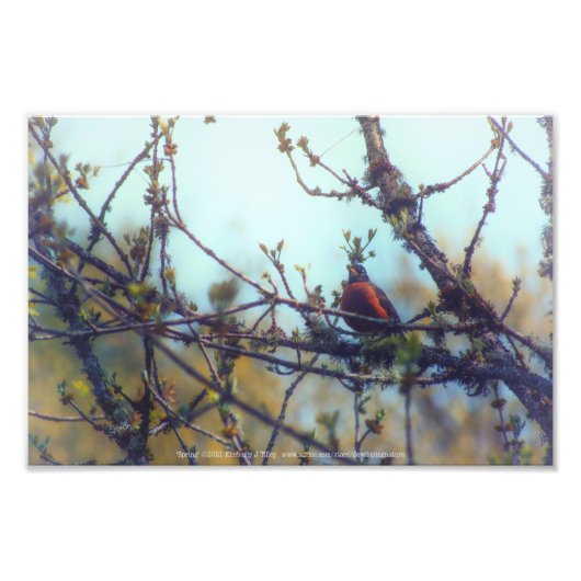 lente foto afdruk (Voorkant)