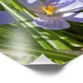 lente foto afdruk (Hoek)