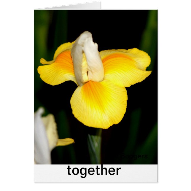 Lente geel (Voorkant)