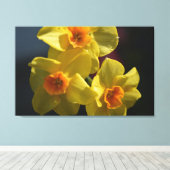 Lente gele daffodilbloemfotokunst. canvas afdruk (Insitu (Houten vloer))