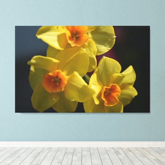 Lente gele daffodilbloemfotokunst. canvas afdruk (Insitu (Houten vloer))