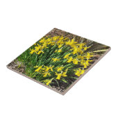 Lente Gele Narcissen Keramische Tegels Tegeltje (Zijkant)