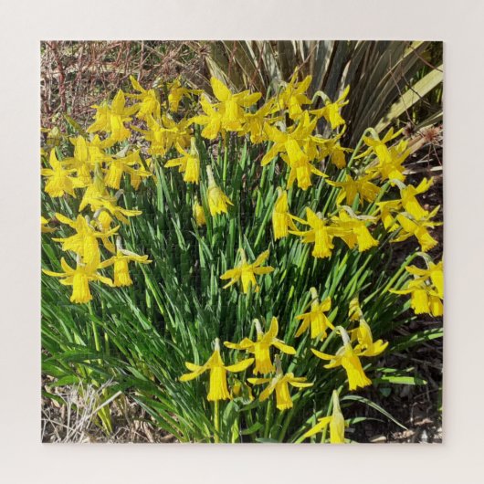 Lente Gele Narcissen Legpuzzel (Verticaal)