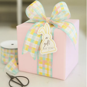 Lente geruite pastel roze blauw geel grosgrain lint