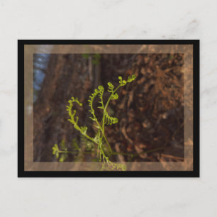 lente groen briefkaart