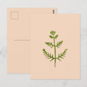 lente groen briefkaart (Voorkant / Achterkant)