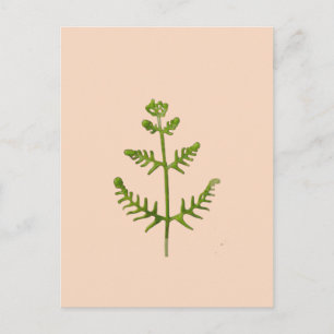 lente groen briefkaart