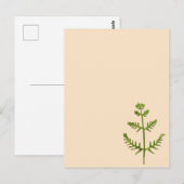 lente groen briefkaart (Voorkant / Achterkant)