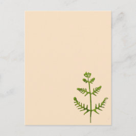 lente groen briefkaart