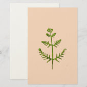 lente groen briefpapier (Voorkant / Achterkant)