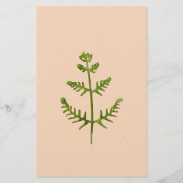 lente groen briefpapier