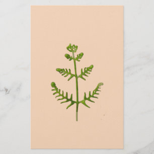 lente groen  briefpapier